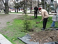 IMG_7062