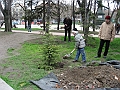 IMG_7066