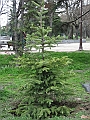 IMG_7089