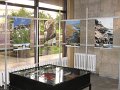 IMG_0017