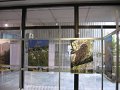IMG_0021