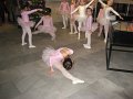 IMG_2868