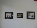 IMG_0003