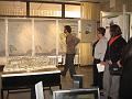 IMG_1510