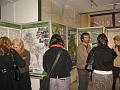 IMG_1517