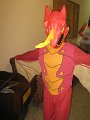 IMG_9987