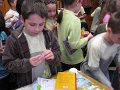 IMG_2747
