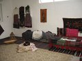 IMG_2646