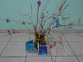 DSC00691