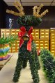 DSC01048
