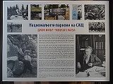 DSC05394