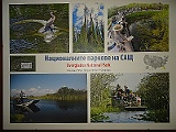 DSC05411