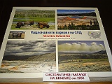 DSC05424
