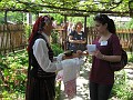IMG_0322
