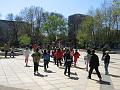 IMG_1726