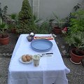 DSC03244