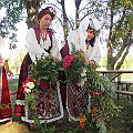 IMG_1373