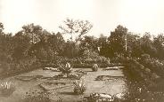 The Garden