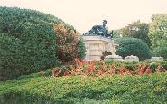 The Garden