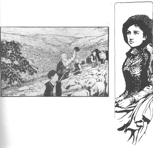 Reproduction